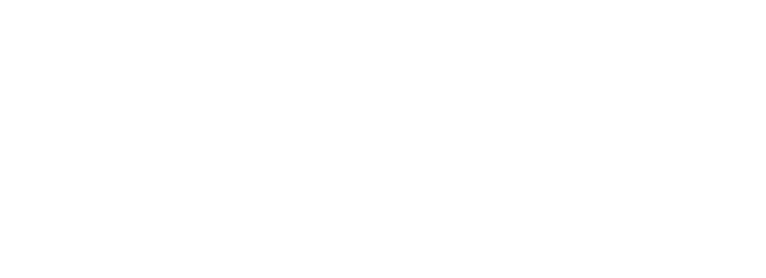 ADI Chain